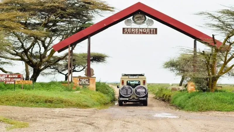 6-Day Private Big 5 Mid Range Tour in - Tanzania safari gallery image