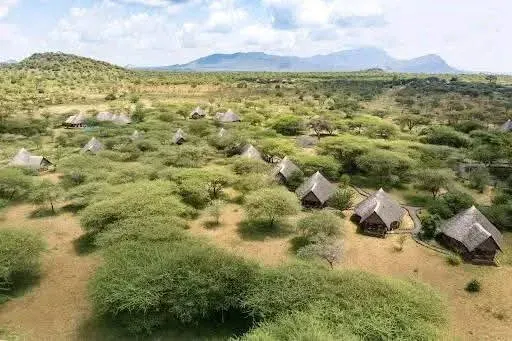 7-Day Amboseli Lake Nakuru and Maasai Mara 2025 - Kenya tours gallery image