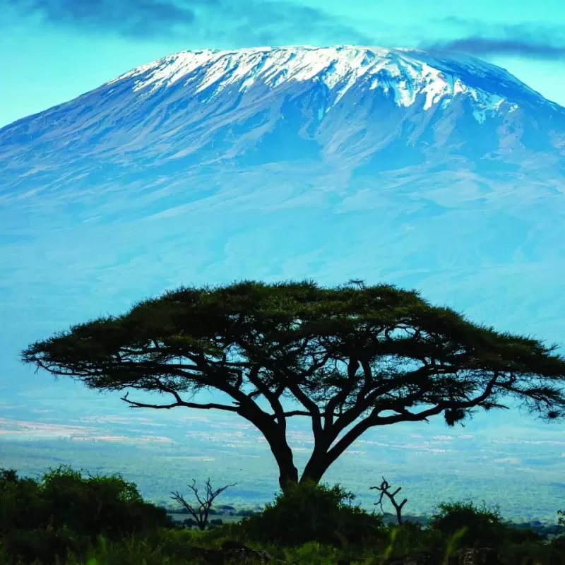 7-Day Rongai Route Kilimanjaro Adventure
