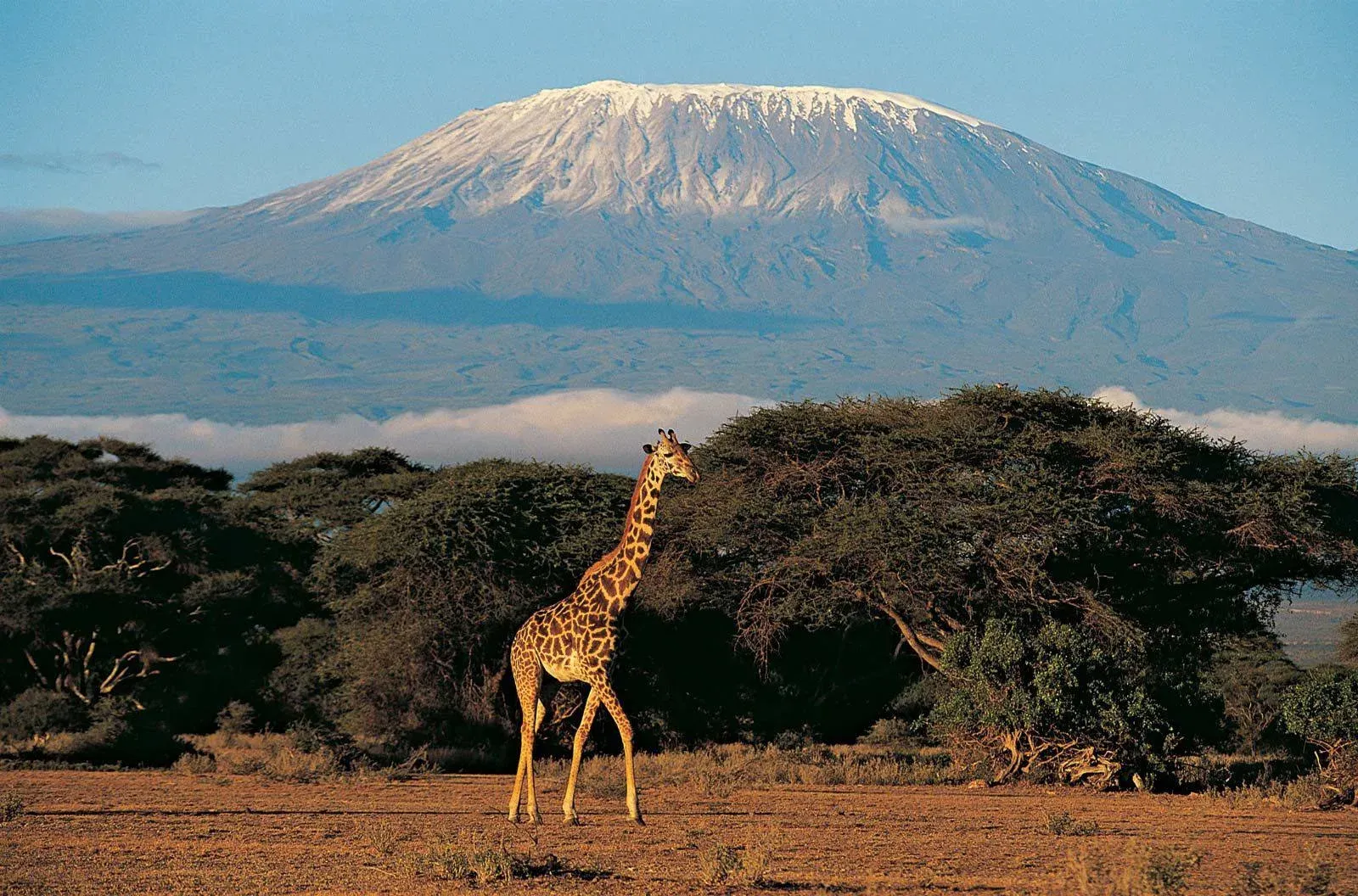 3 Days Amboseli Safari hero photo