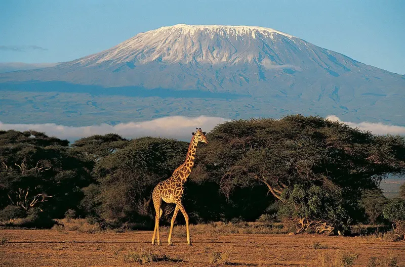 3 Days Amboseli Safari