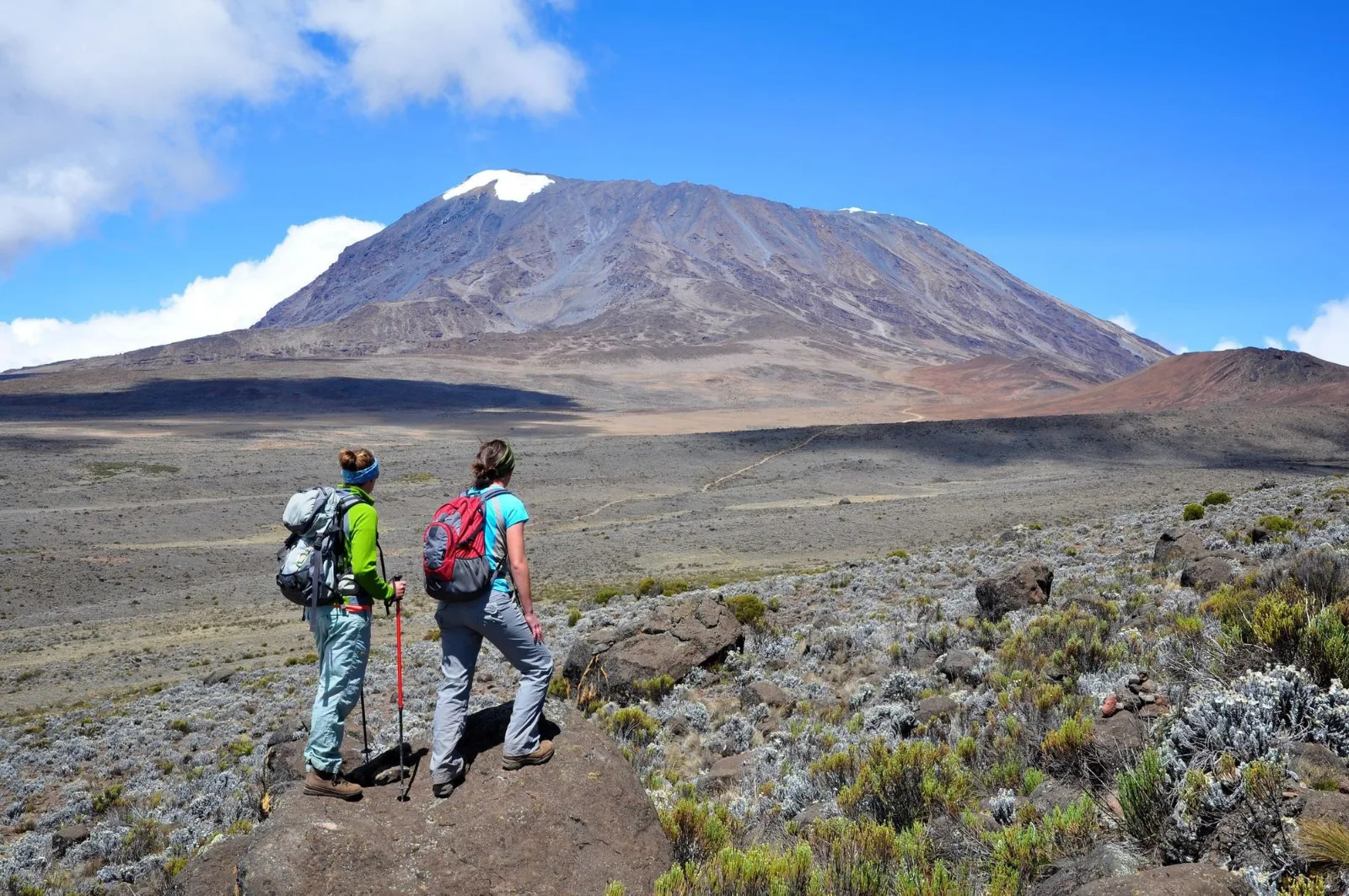 Best Mixed 9-Day Kilimanjaro Ngorongoro Serengeti and Zanzibar - Tanzania safari gallery image