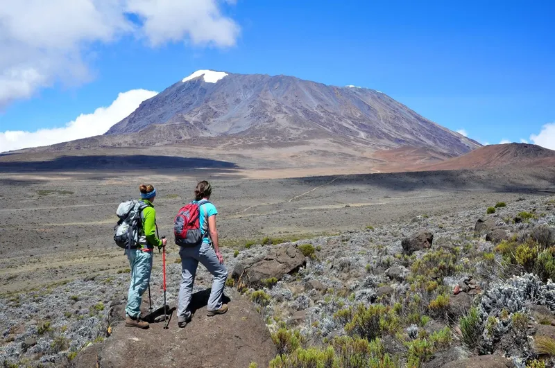 Best Mixed 9-Day Kilimanjaro Ngorongoro Serengeti and Zanzibar - Tanzania safari gallery image
