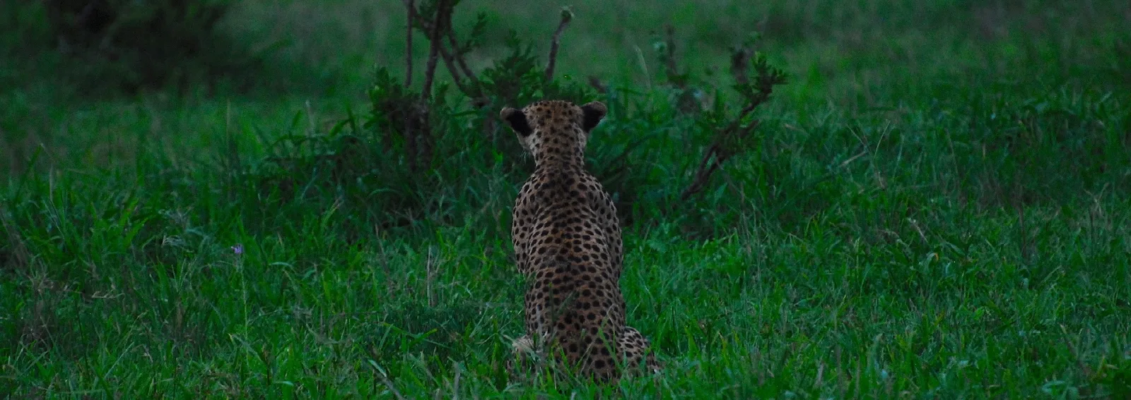 9-Day Malawi Wildlife, Lake and Culture gallery image
