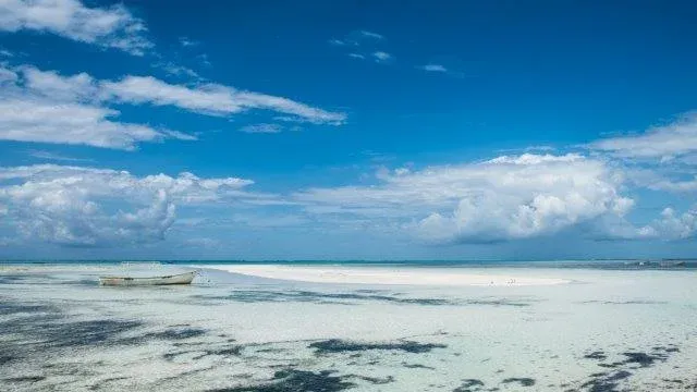 8-Day Wildlife Safari| Beach Experience - Tanzania safari hero photo