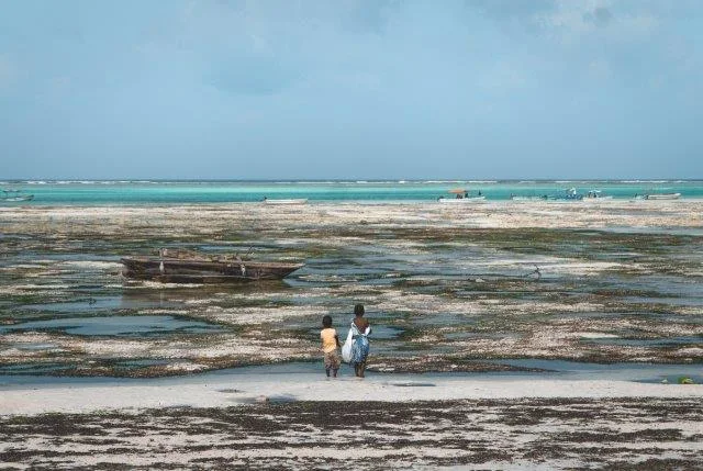Zanzibar 8 Days Tours Package