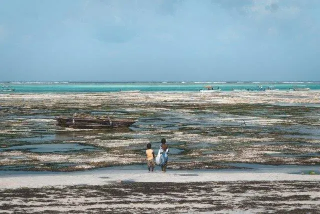 Zanzibar 8 Days Tours Package hero photo