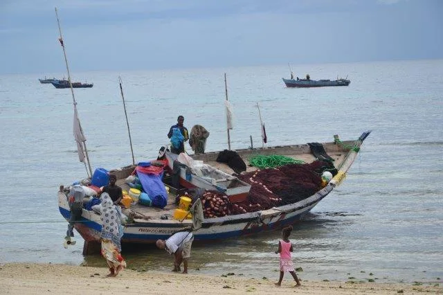 1-Day Dar Es Salaam City Tour and Beach - Tanzania safari