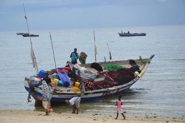 1-Day Dar Es Salaam City Tour and Beach - Tanzania safari
