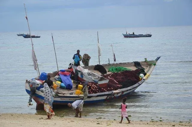 10-Day Mid Luxury Beach Holiday & Safari in - Tanzania safari gallery image