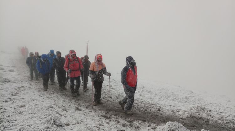 Joining Group 11-Day Mount Kilimanjaro Marangu Route & Tanzania Short Safari 2026 - 2027 gallery image
