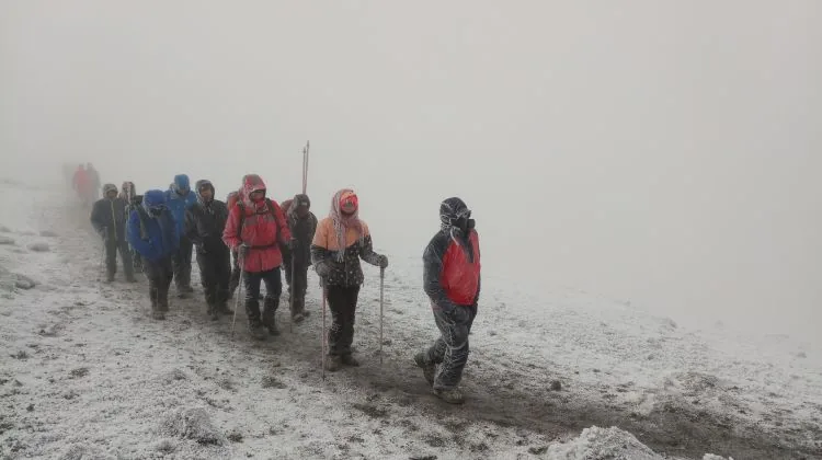 Joining Group 11-Day Mount Kilimanjaro Marangu Route & Tanzania Short Safari 2026 - 2027 gallery image