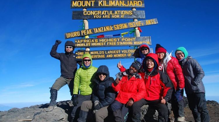 Joining Group 11-Day Mount Kilimanjaro Marangu Route & Tanzania Short Safari 2026 - 2027 gallery image