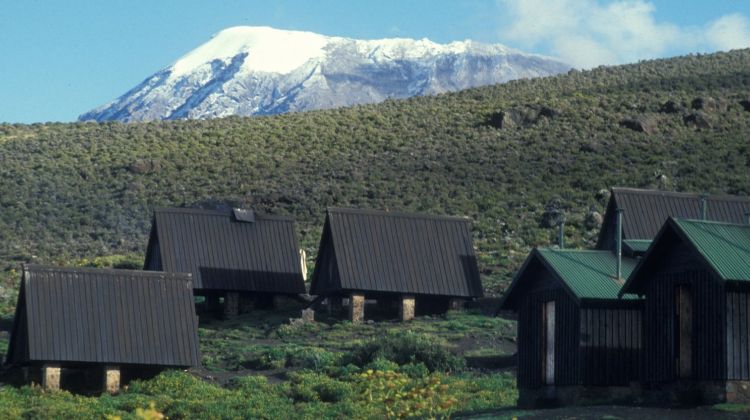 Joining Group 11-Day Mount Kilimanjaro Marangu Route & Tanzania Short Safari 2026 - 2027 gallery image