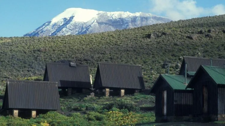 Joining Group 11-Day Mount Kilimanjaro Marangu Route & Tanzania Short Safari 2026 - 2027 gallery image