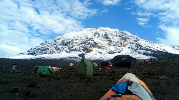 Joining Group 11-Day Mount Kilimanjaro Marangu Route & Tanzania Short Safari 2026 - 2027 hero photo