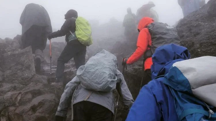 Joining Group 11-Day Mount Kilimanjaro Marangu Route & Tanzania Short Safari 2026 - 2027 gallery image