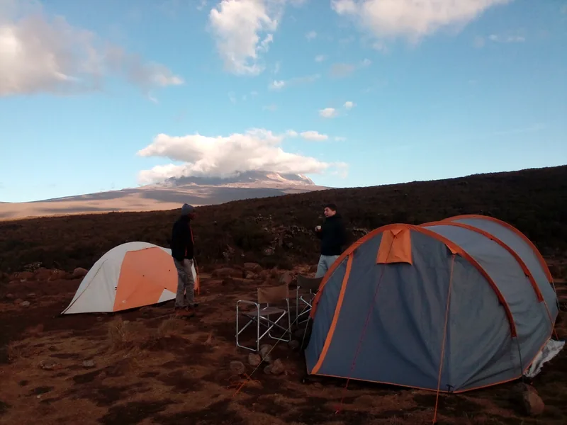 Experience unforgettable 1-Day Fun Kilimanjaro Hike Tour