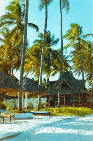 Ultimate 9-Day Tanzania enjoyment Safari from Zanzibar with Flights - Tanzania safari gallery image