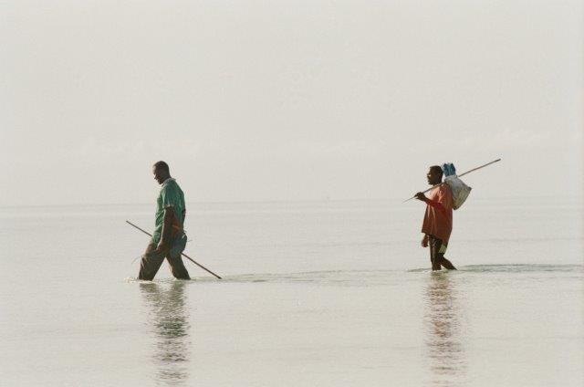 8-Day Unforgettable Luxury Tanzania Safari with Zanzibar - Tanzania safari gallery image