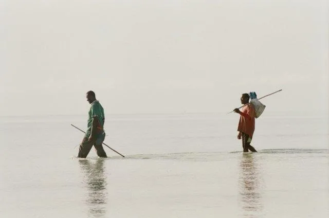 8-Day Unforgettable Luxury Tanzania Safari with Zanzibar - Tanzania safari gallery image
