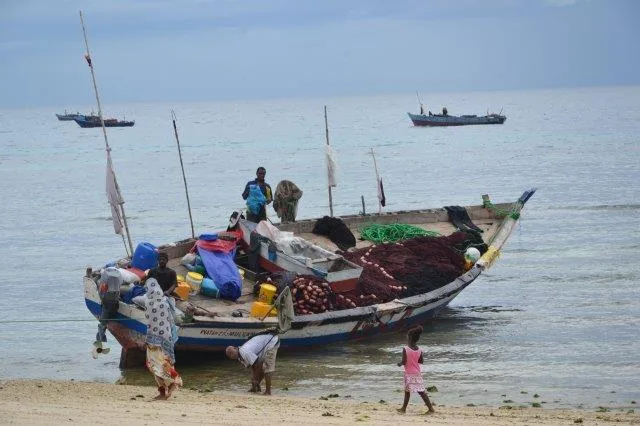 Enjoyable 5-Days Zanzibar a Paradise of Culture, Beaches, and Spice - Tanzania safari