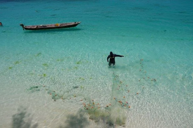 4-Day Zanzibar to Tarangire, Serengeti & Ngorongoro - Tanzania safari