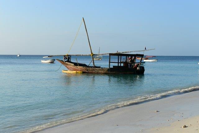 3-Day Fly in Zanzibar Tarangire, Ngorongoro & Manyara - Tanzania safari gallery image
