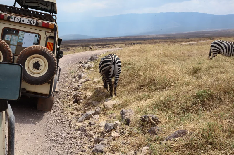 2-Day Amboseli Group Joining Safari 2026 - 2027 gallery image