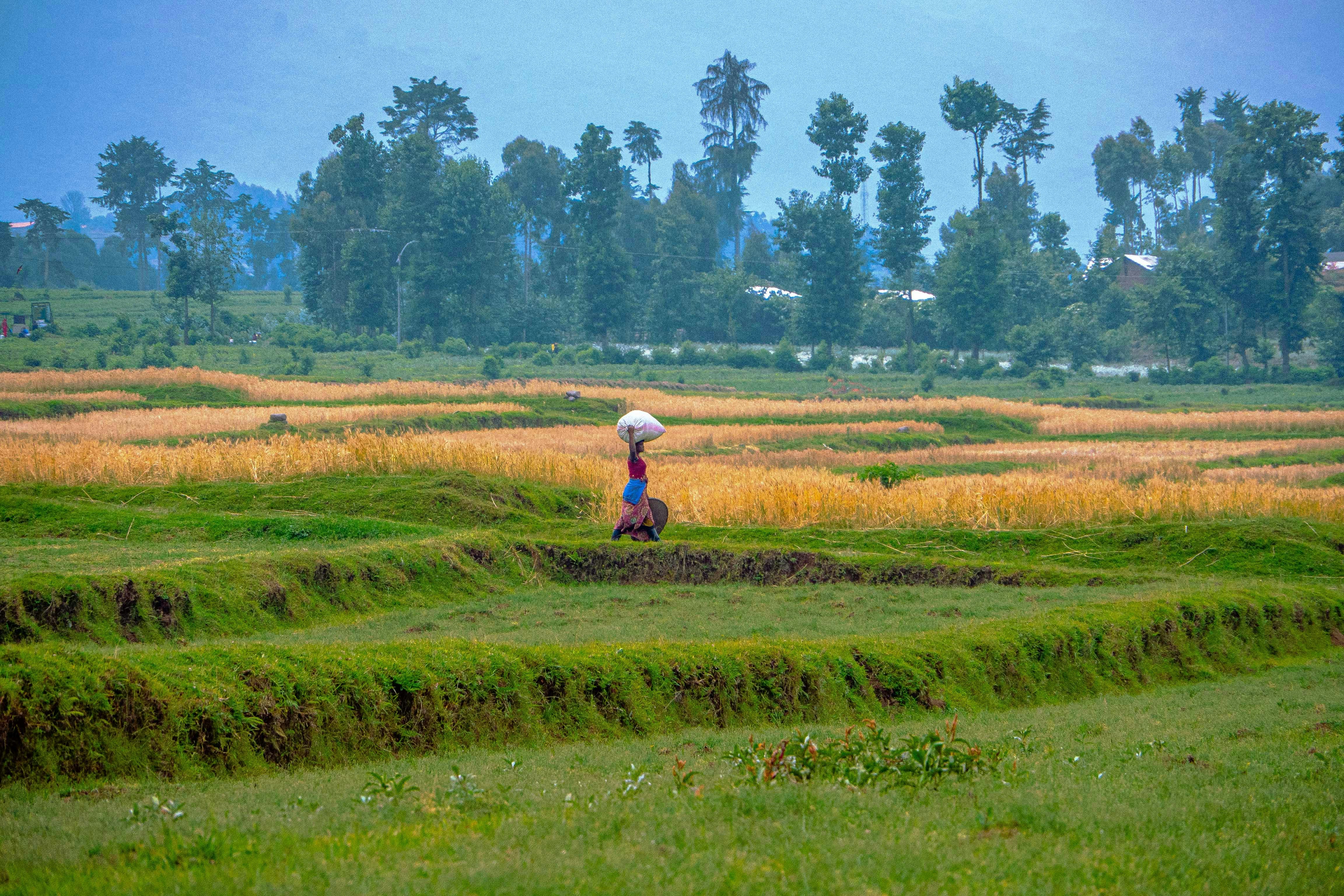 1-Day Countryside Immersion - Canoeing and Guided Walk - Rwanda