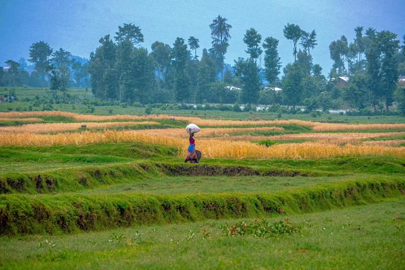 1-Day Countryside Immersion - Canoeing and Guided Walk - Rwanda