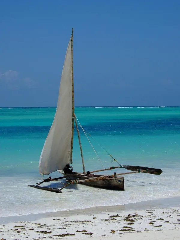 11-Day Incredible Safari & Beach Holiday - Tanzania safari gallery image