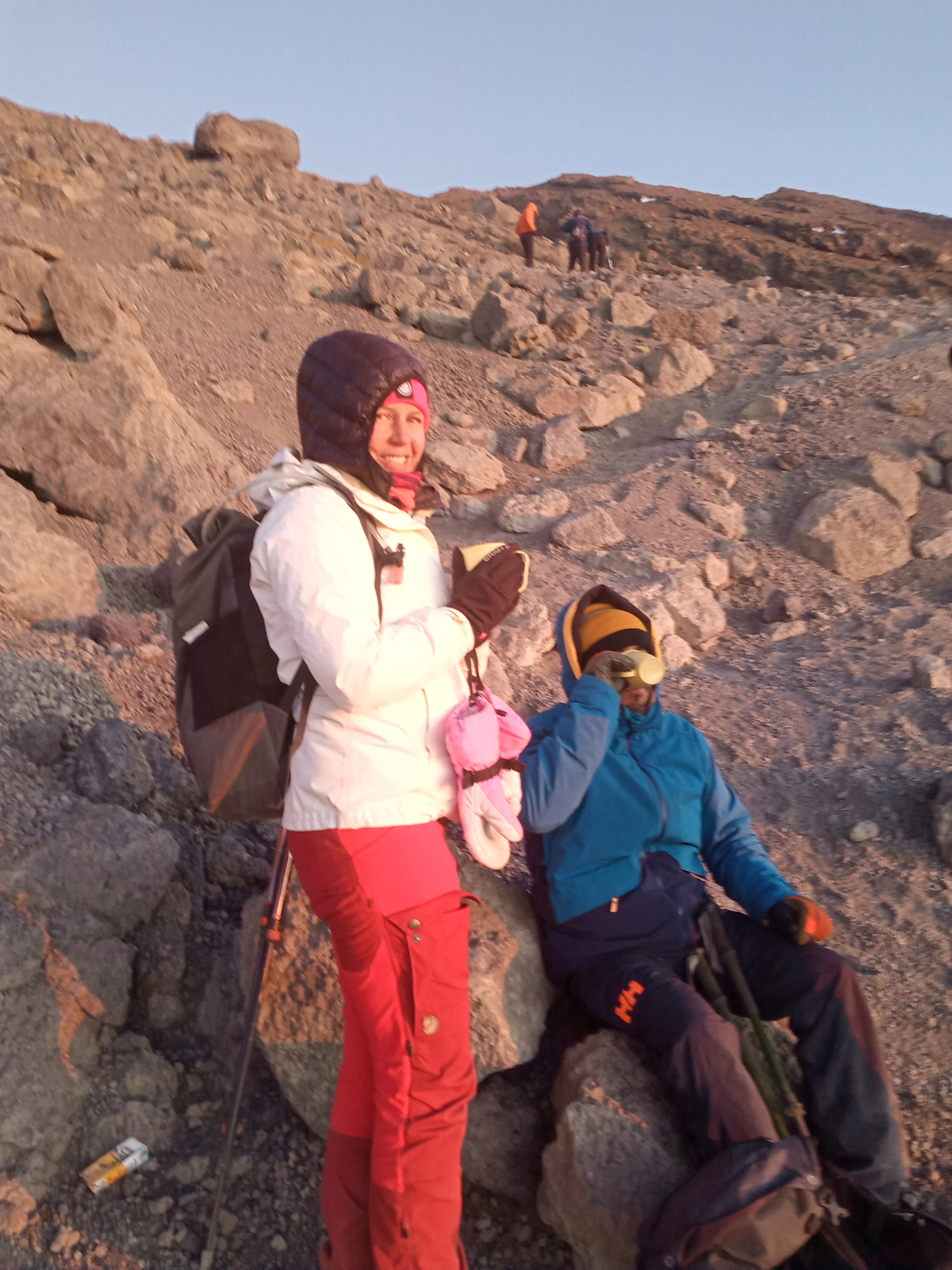 14-Day Kilimanjaro Climb and Finest Wildlife Safari - Tanzania safari