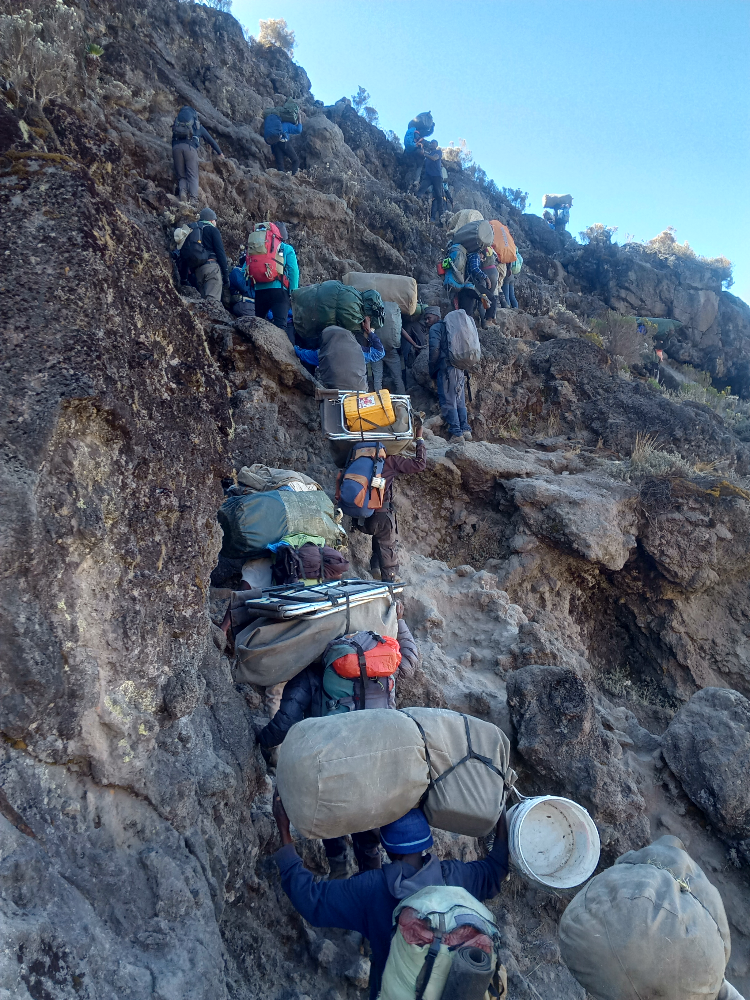 14-Day Kilimanjaro Climb and Finest Wildlife Safari - Tanzania safari gallery image
