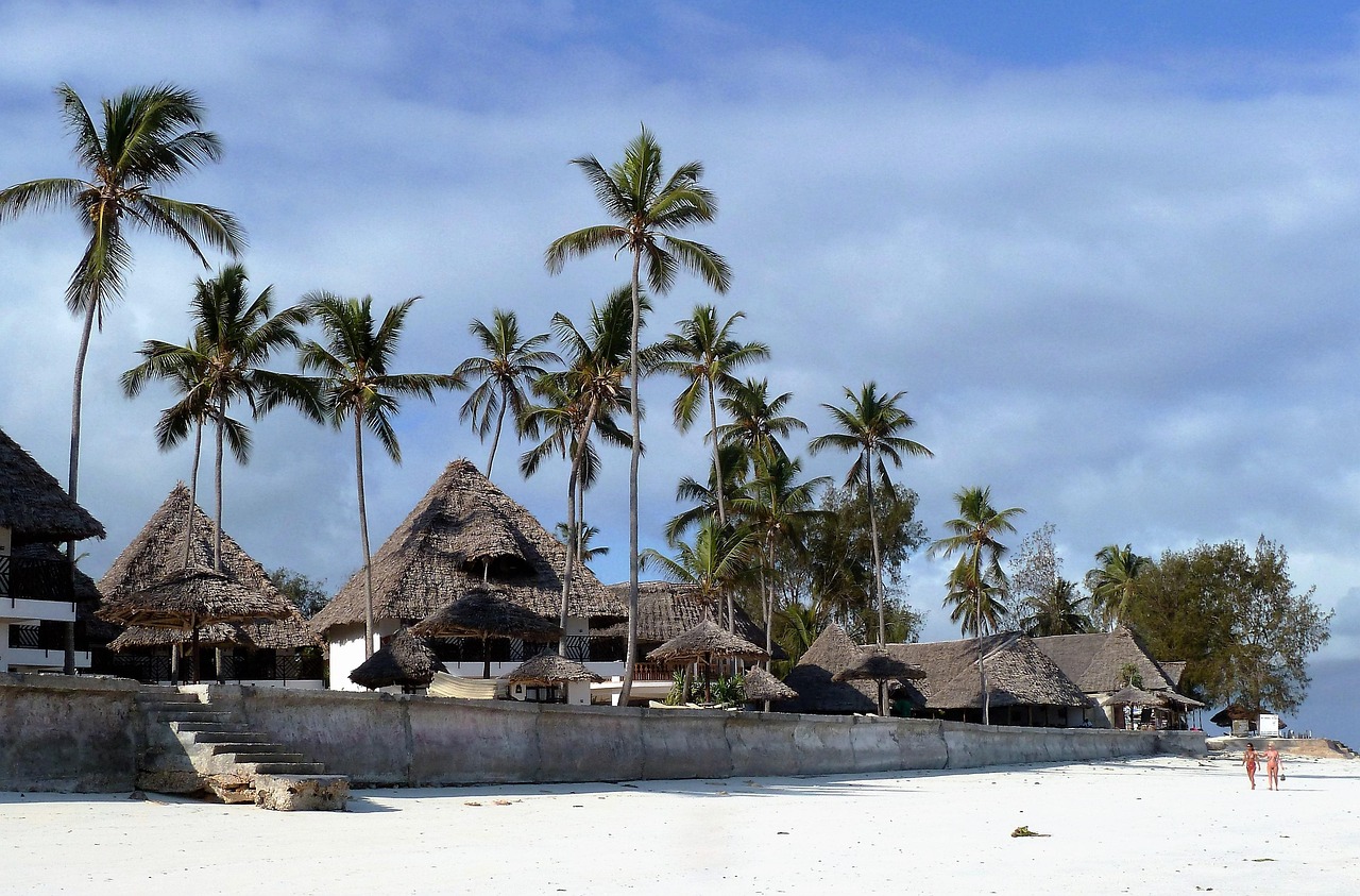 17-Day Wildlife Safari with Chimps and Beaches - Tanzania safari gallery image