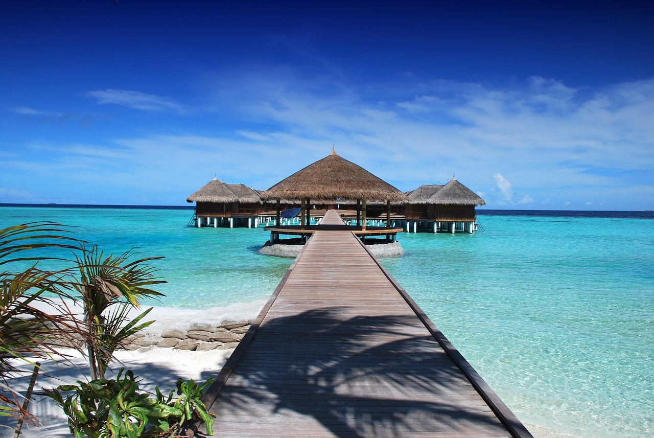 14-Day The Best Taste of Wildlife Culture and Beach - TANZANIA SAFARI
