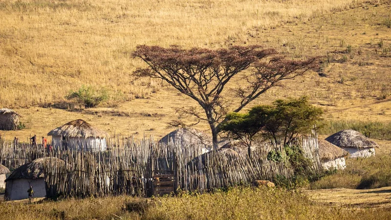 1-Day Trip to Maasai Village Visit & Kikuletwa Hot Springs gallery image