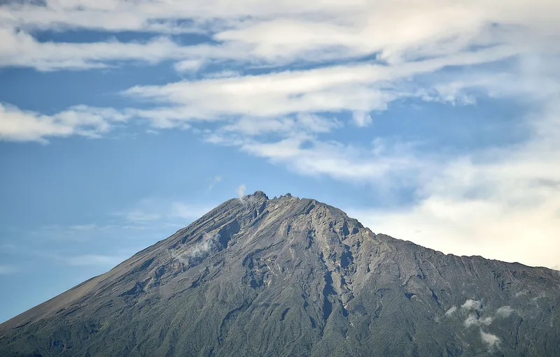 Arusha National Park Day Safari Giraffes Zebras & Mount Meru Views