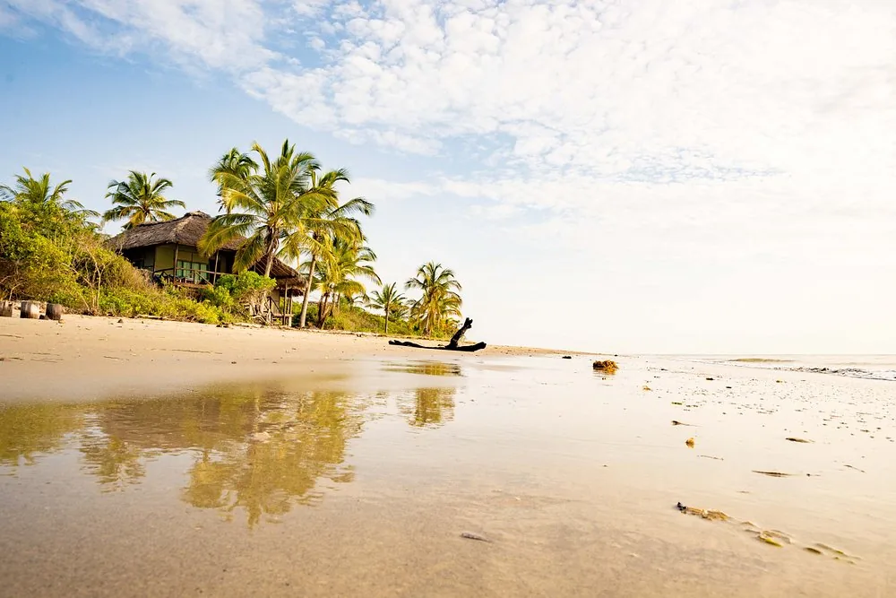 2 Days Super Trip Beach Safari in Saadani National Park hero photo