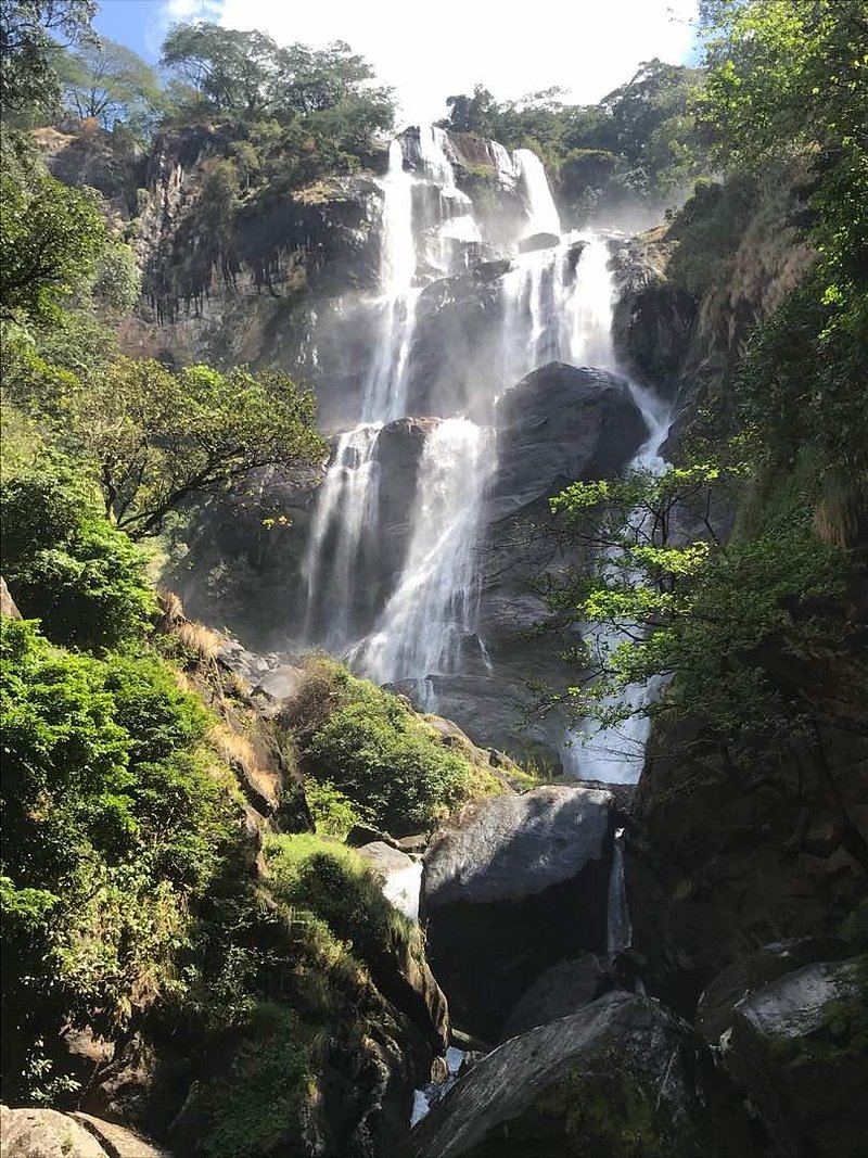 7 Days Mkomazi, Usambara, Saadan and Beach Relaxation - Tanzania safari gallery image