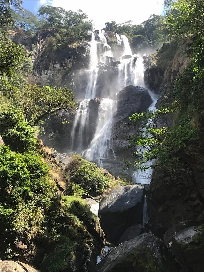 7 Days Mkomazi, Usambara, Saadan and Beach Relaxation - Tanzania safari gallery image