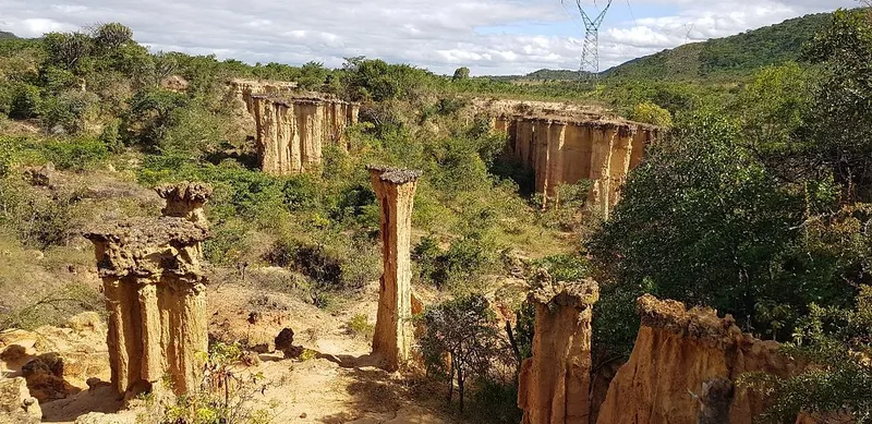 1 Day Trip Safari to Ruaha National Park from Iringa gallery image