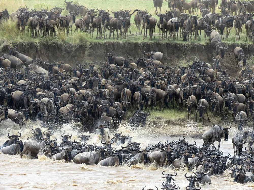 8-Day Ultimate Great Migration Safari and Zanzibar Beach Escape Tanzania hero photo