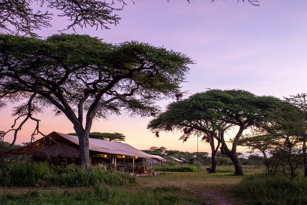 4-Day Mid-range Fly-In Great Migration Safari in Ndutu Tanzania