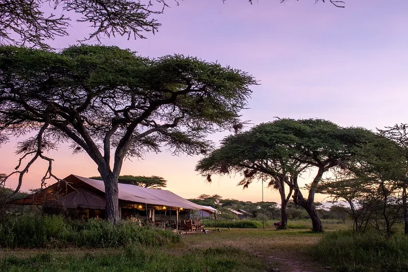 4-Day Mid-range Fly-In Great Migration Safari in Ndutu Tanzania