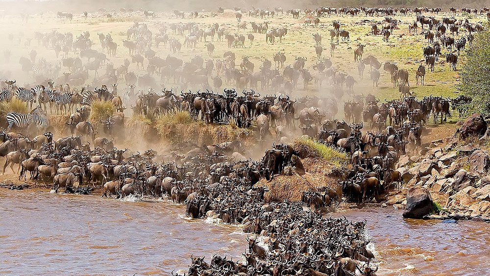 9-Day Unforgettable Serengeti Great Migration Safari Journey