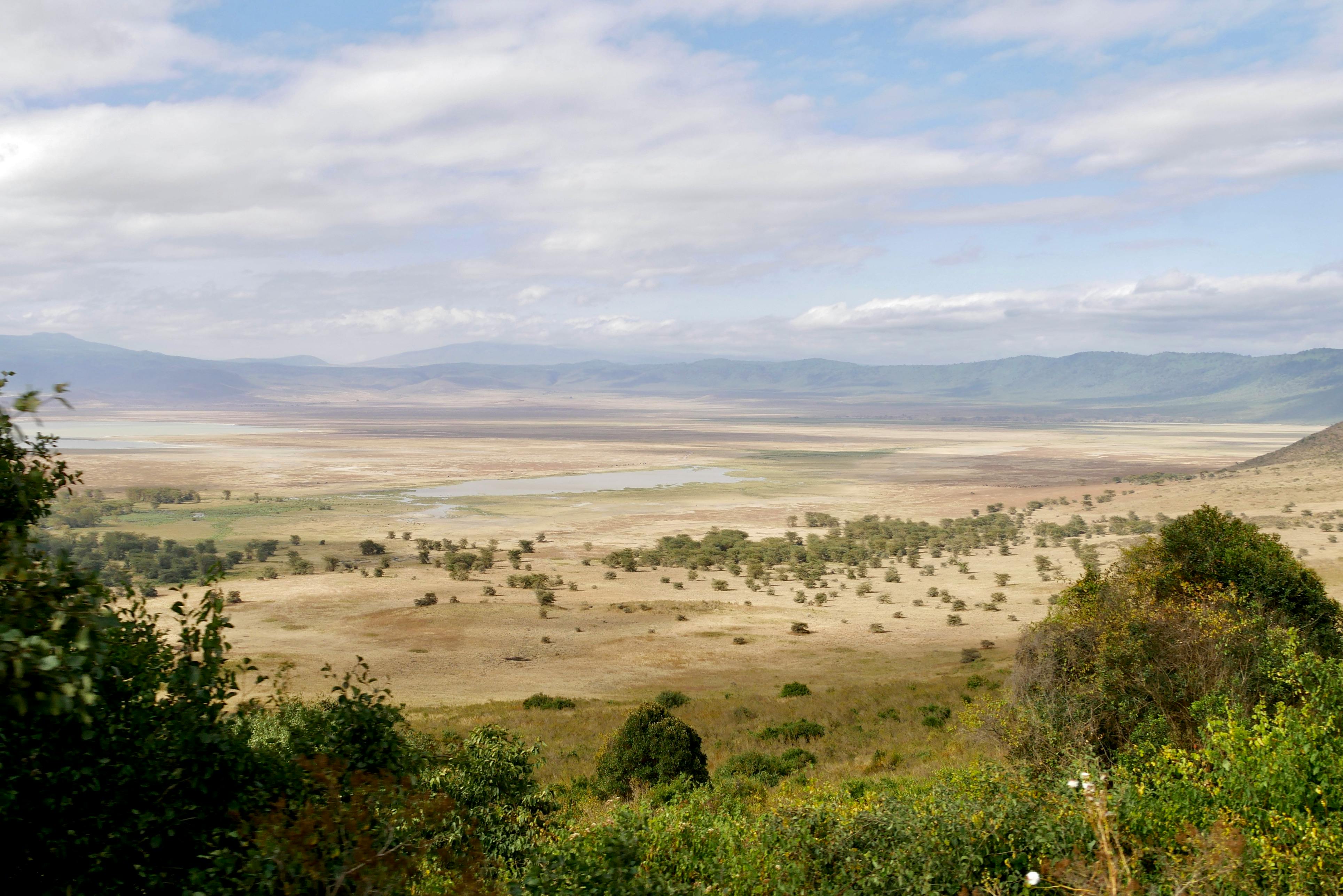 9-Day Serengeti Great Migration Safari: Witness Africa's Greatest Wildlife Spectacle gallery image