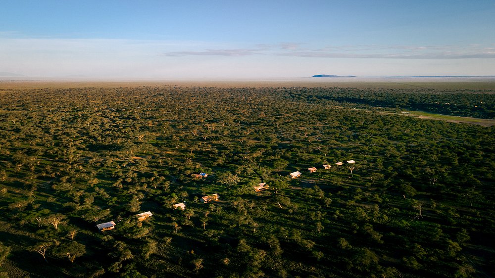 14 Days Tanzania Safari - Great Migration Ndutu Special - Tanzania safari gallery image