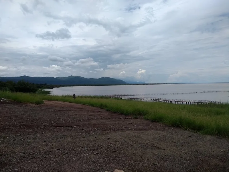2 Days Explore Tarangire and Lake Manyara National Park - Tanzania safari gallery image