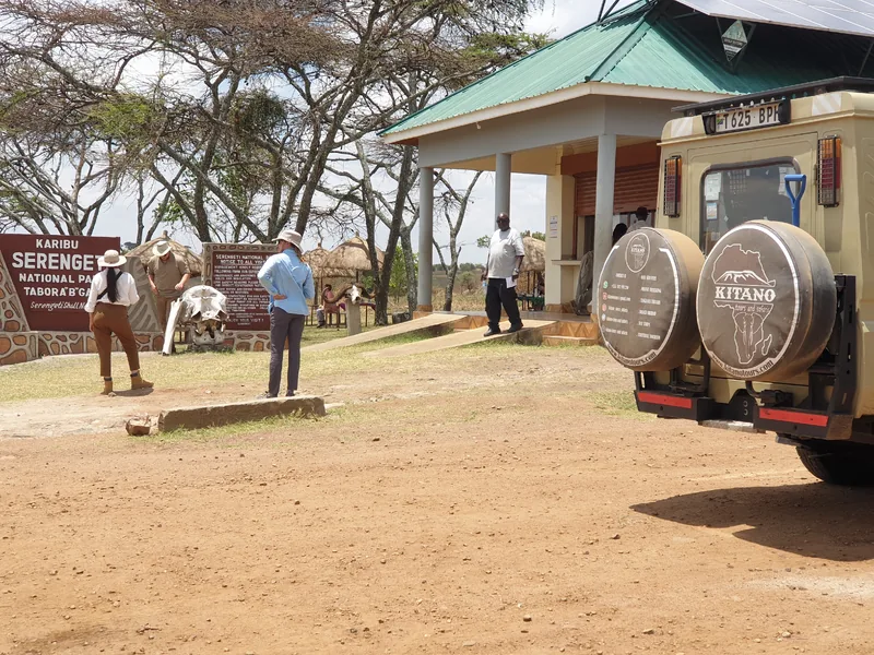 2 Days Fly in and out from Zanzibar to Serengeti NP - Tanzania safari gallery image